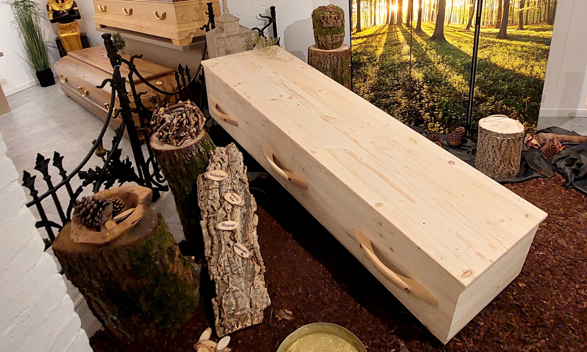 Bild eines Holzsarges für den Bestattungsort Wald