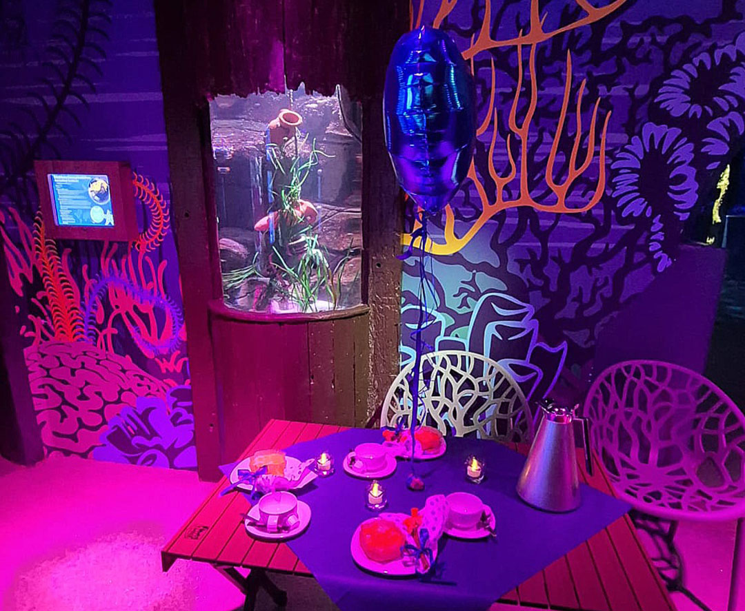 SeaLife ErwachsenenHospizDienstDunkelbunt Kaffeetafel